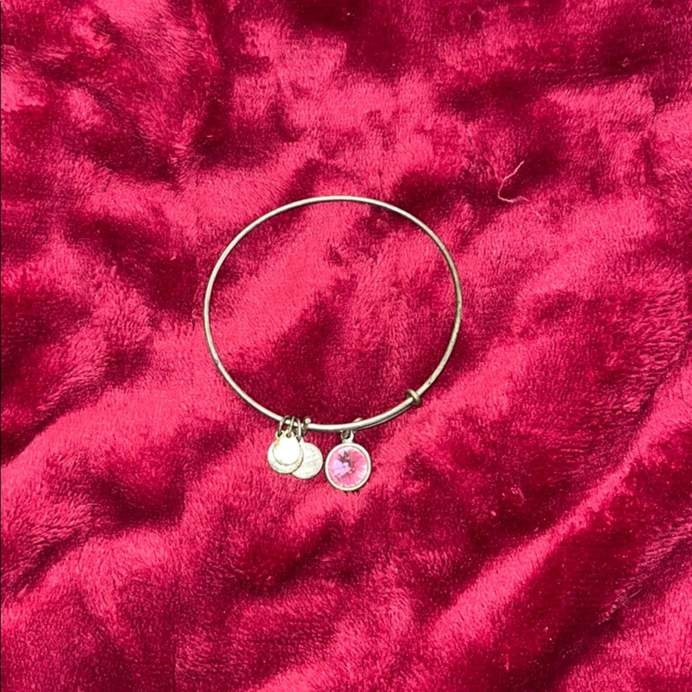 alex and ani charm bracelet!